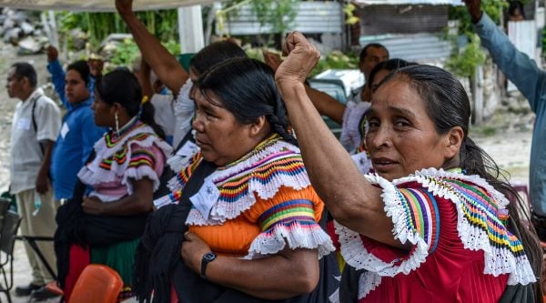 México. «Desesperación y temor de los de arriba por nuestro avance de sembrar y cosechar autonomía»: CIPOG-EZ