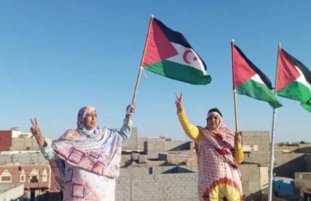 Sáhara Occidental. Expulsadas con violencia de El Aaiún una médica y dos abogadas españolas