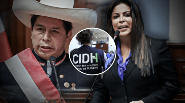 Perú. CIDH preocupada por mal uso de figura de vacancia presidencial