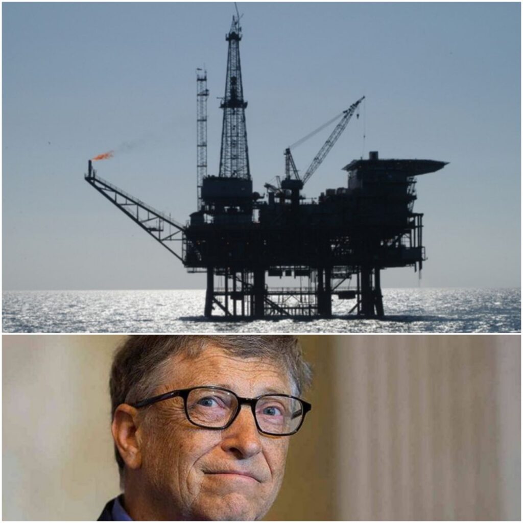 Ecología Social. Bill Gates y Shell también explotarán el mar argentino