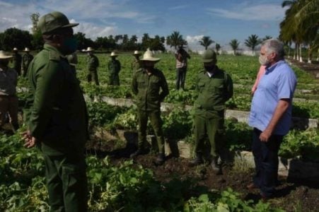 Cuba. Lo primero: la tierra y lo que podamos aprovecharle