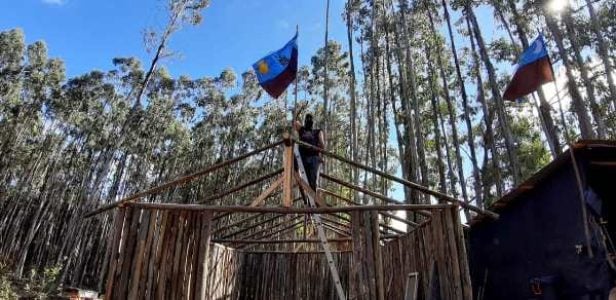 Nación Mapuche. Lof Pilpilkawin en recuperación