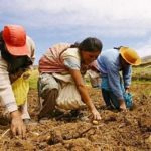 Perú. Invierten un vergonzoso 0,7 del presupuesto público en agricultura
